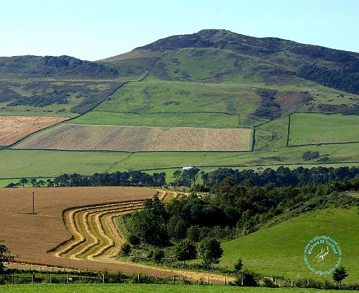 Scottish Borders Rubers Law 9R089D-05.JPG